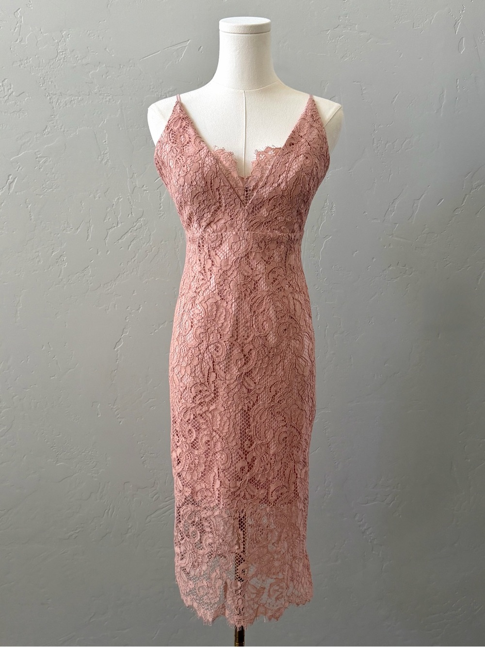 Bardot Gia Lace Midi Dress Blush Pink Wedding Guest Pencil NWT 6 - Picture 2 of 14